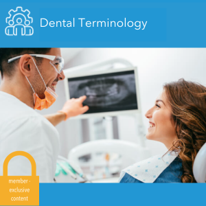Dental Terminology for new dental managers